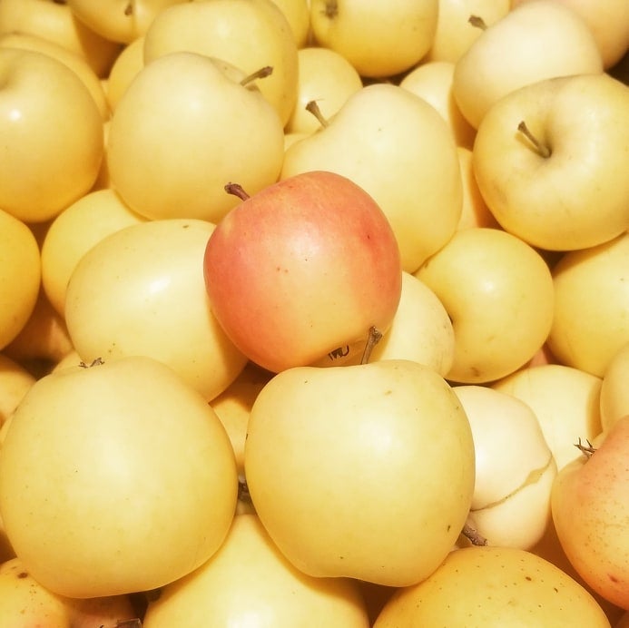 Aurora Golden Gala Apples Little Bee Farmers Market