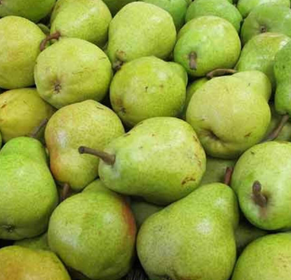 Ontario's Bartlett Pears Little Bee Farmers Market